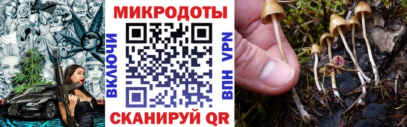 hydra ССЫЛКА  Ликино-Дулёво  Галлюциногенные грибы MAGIC MUSHROOMS 